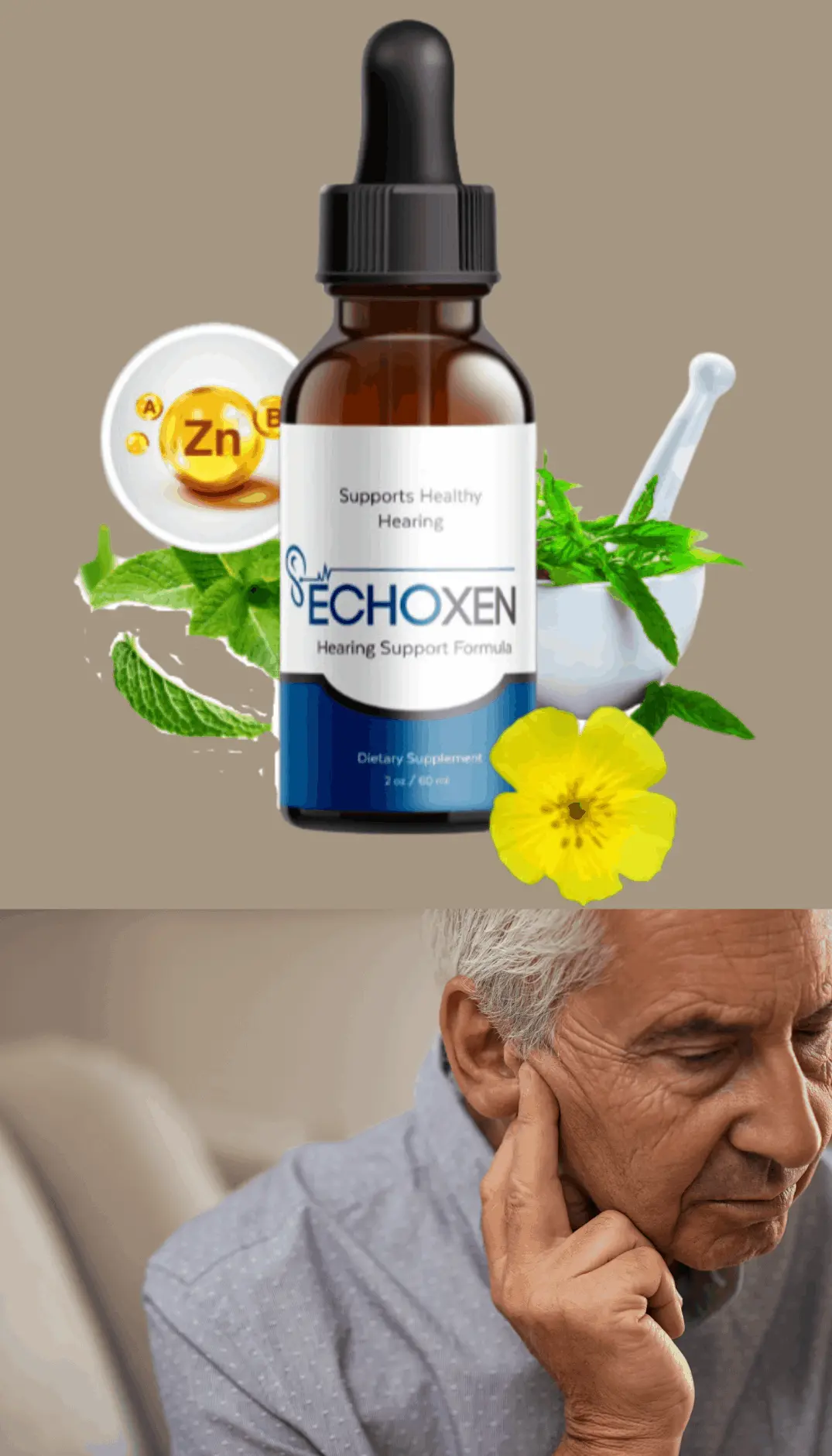 echoxen supplement